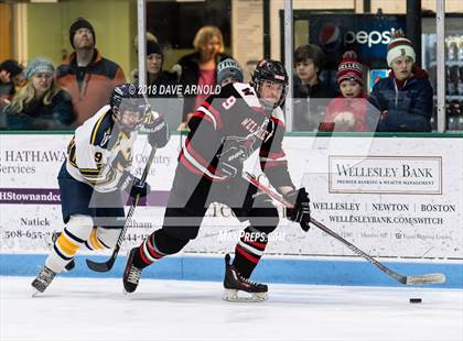 Thumbnail 1 in Wellesley @ Needham photogallery.
