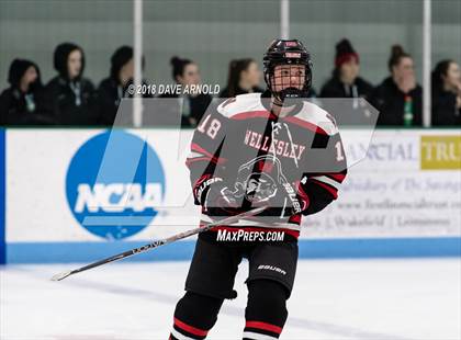 Thumbnail 1 in Wellesley @ Needham photogallery.