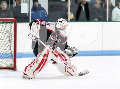 Thumbnail 1 in Wellesley @ Needham photogallery.