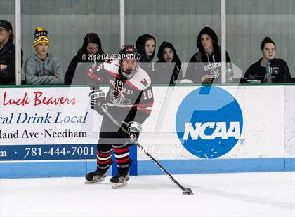 Thumbnail 2 in Wellesley @ Needham photogallery.