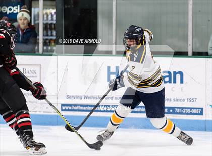 Thumbnail 3 in Wellesley @ Needham photogallery.