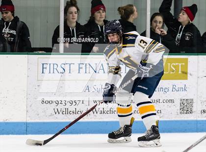 Thumbnail 3 in Wellesley @ Needham photogallery.
