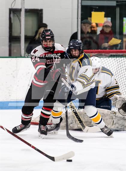 Thumbnail 2 in Wellesley @ Needham photogallery.
