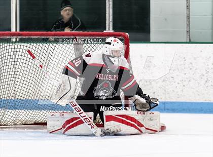 Thumbnail 1 in Wellesley @ Needham photogallery.