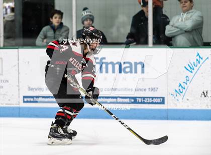 Thumbnail 1 in Wellesley @ Needham photogallery.