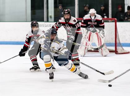 Thumbnail 3 in Wellesley @ Needham photogallery.