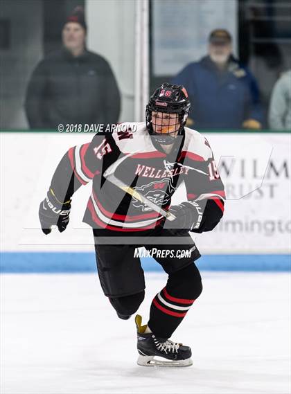 Thumbnail 3 in Wellesley @ Needham photogallery.