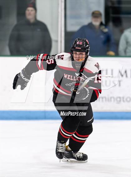 Thumbnail 1 in Wellesley @ Needham photogallery.
