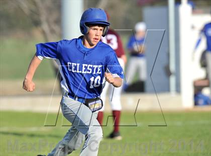 Thumbnail 1 in Savoy vs. Celeste (Sam Rayburn Wood Bat Tournament) photogallery.
