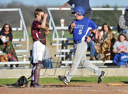 Thumbnail 2 in Savoy vs. Celeste (Sam Rayburn Wood Bat Tournament) photogallery.