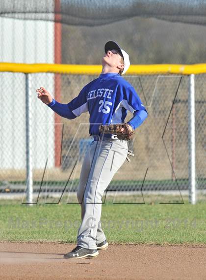 Thumbnail 2 in Savoy vs. Celeste (Sam Rayburn Wood Bat Tournament) photogallery.