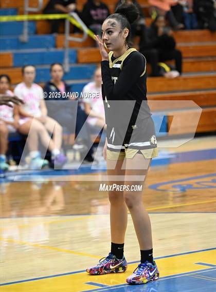 Thumbnail 2 in Knight @ Quartz Hill photogallery.