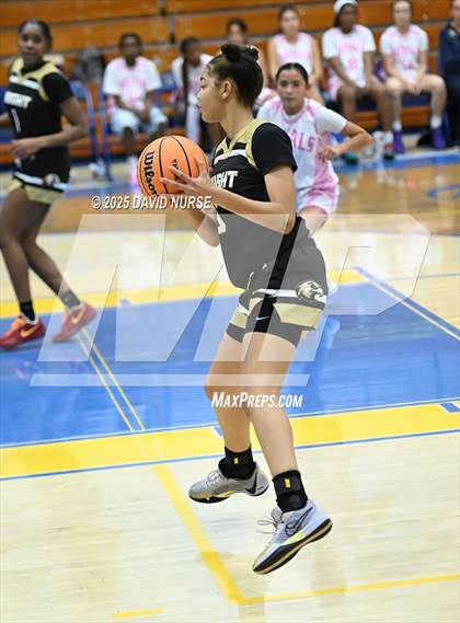 Thumbnail 2 in Knight @ Quartz Hill photogallery.