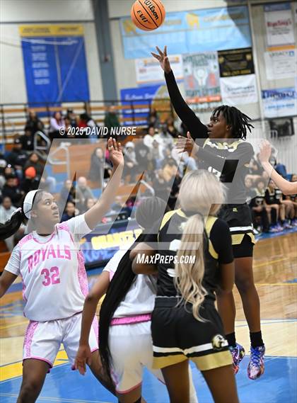 Thumbnail 1 in Knight @ Quartz Hill photogallery.