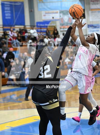 Thumbnail 1 in Knight @ Quartz Hill photogallery.