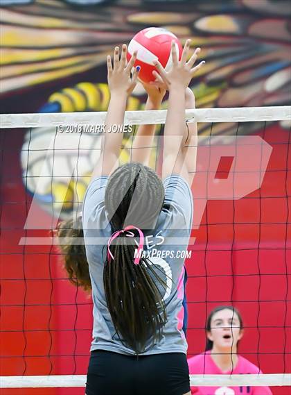Thumbnail 1 in Centennial @ Ironwood photogallery.