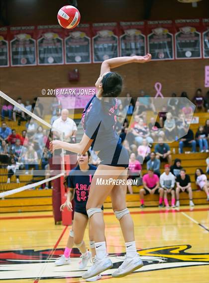 Thumbnail 3 in Centennial @ Ironwood photogallery.