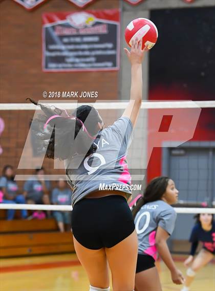Thumbnail 1 in Centennial @ Ironwood photogallery.