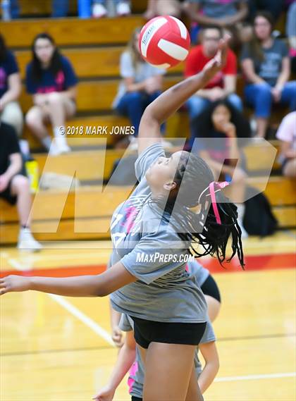 Thumbnail 1 in Centennial @ Ironwood photogallery.