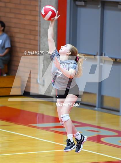 Thumbnail 3 in Centennial @ Ironwood photogallery.