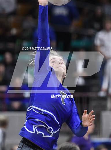 null - Photo 01