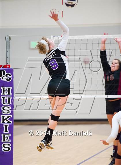 Thumbnail 1 in Ponderosa @ Douglas County photogallery.