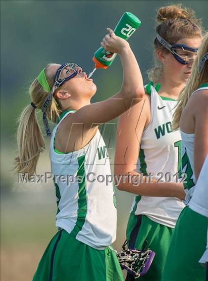 Thumbnail 3 in Loudoun County @ Woodgrove (Northern Sectional) photogallery.