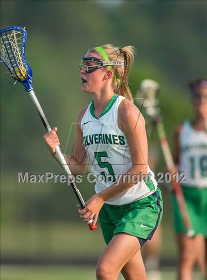 Thumbnail 2 in Loudoun County @ Woodgrove (Northern Sectional) photogallery.