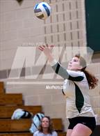 Photo from the gallery "Apex @ Green Hope"