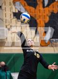 Photo from the gallery "Apex @ Green Hope"