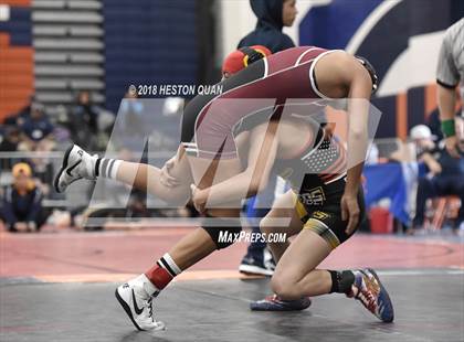 Thumbnail 2 in CIF Southern Section Girls Wrestling Championships (Finals)  photogallery.