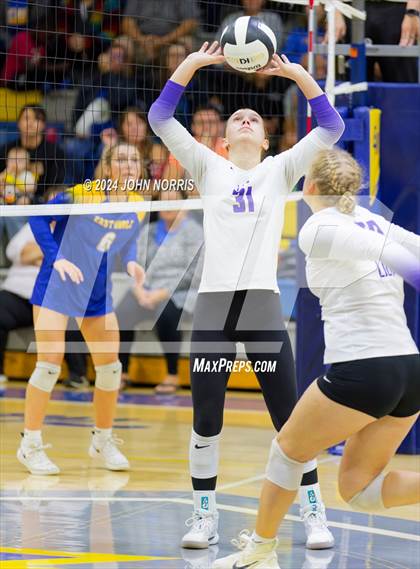 Thumbnail 2 in Leo @ East Noble photogallery.