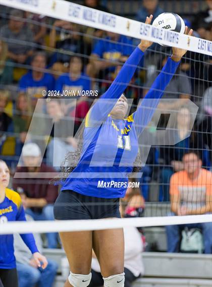 Thumbnail 1 in Leo @ East Noble photogallery.