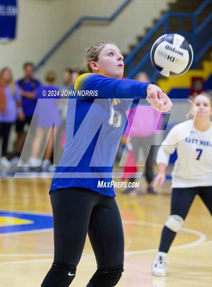 Thumbnail 3 in Leo @ East Noble photogallery.