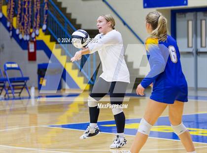 Thumbnail 2 in Leo @ East Noble photogallery.