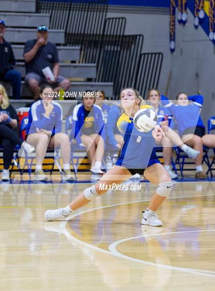 Thumbnail 2 in Leo @ East Noble photogallery.