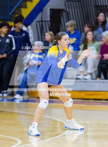 Thumbnail 2 in Leo @ East Noble photogallery.