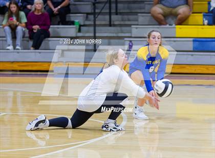 Thumbnail 2 in Leo @ East Noble photogallery.