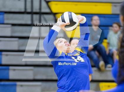 Thumbnail 1 in Leo @ East Noble photogallery.