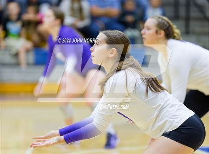 Thumbnail 3 in Leo @ East Noble photogallery.