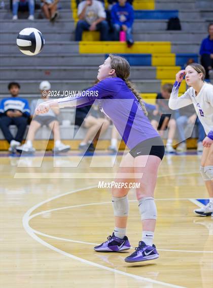 Thumbnail 2 in Leo @ East Noble photogallery.