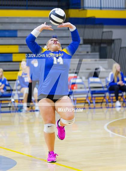 Thumbnail 2 in Leo @ East Noble photogallery.