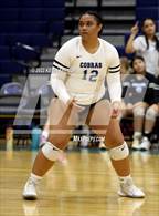 Photo from the gallery "Coconino @ Cactus"