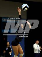 Photo from the gallery "Coconino @ Cactus"