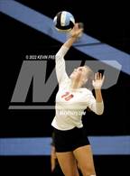 Photo from the gallery "Coconino @ Cactus"