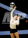 Photo from the gallery "Coconino @ Cactus"