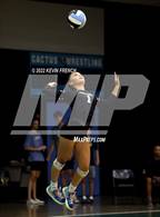 Photo from the gallery "Coconino @ Cactus"