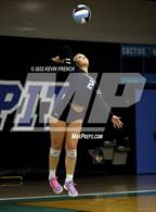 Photo from the gallery "Coconino @ Cactus"