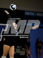 Photo from the gallery "Coconino @ Cactus"