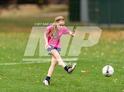 Thumbnail 1 in Needham @ Wellesley photogallery.